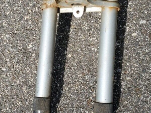 TEST puch MAGNUM fork